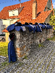 Bild zum Antrag