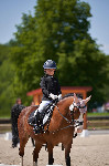 Bild zum Antrag